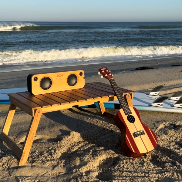 The Picnic Table - Image 5